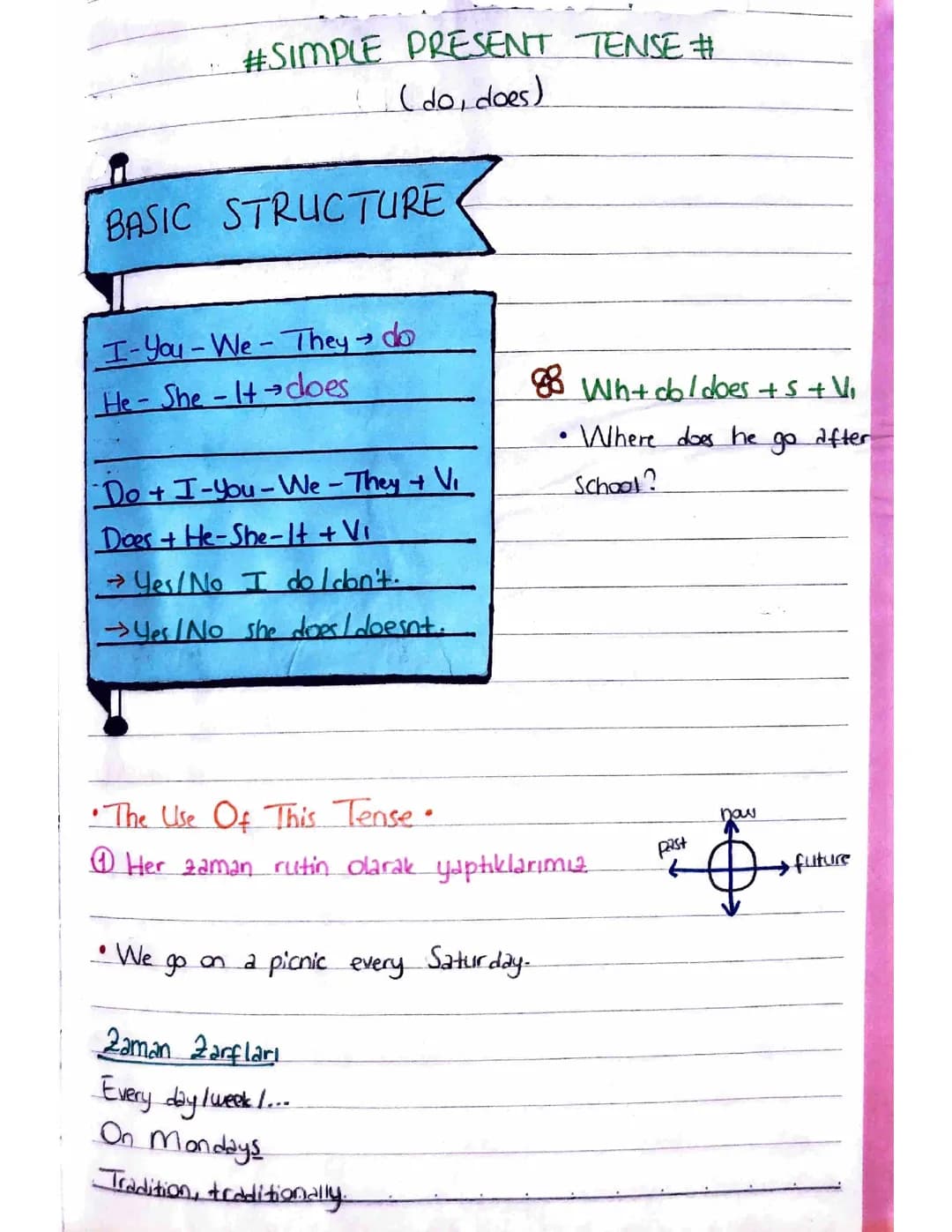 Fun with Simple Present Tense (Geniş Zaman) and More!