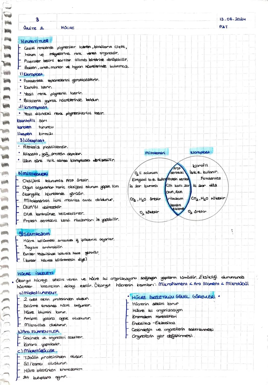 100002
+
ÜNİTE 2
HÜCRE
11.05.2024
Cmt
HÜCRE TEORISI
Hücre canlının temel, yopisal ve isleusel birimidir.
2 Bütün canlılar, bir ya da daha fa