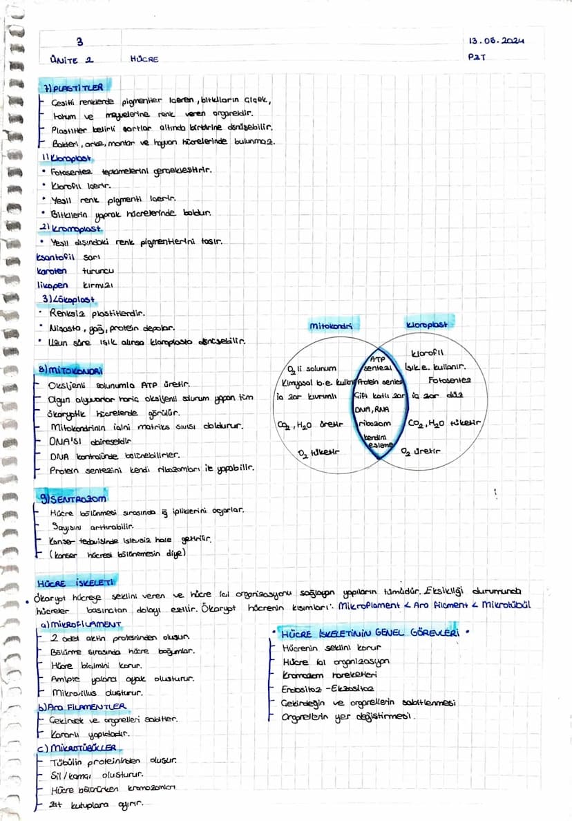100002
+
ÜNİTE 2
HÜCRE
11.05.2024
Cmt
HÜCRE TEORISI
Hücre canlının temel, yopisal ve isleusel birimidir.
2 Bütün canlılar, bir ya da daha fa