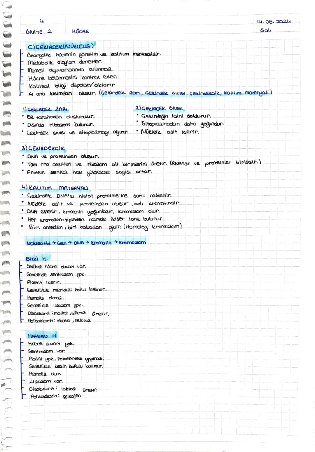 100002
+
ÜNİTE 2
HÜCRE
11.05.2024
Cmt
HÜCRE TEORISI
Hücre canlının temel, yopisal ve isleusel birimidir.
2 Bütün canlılar, bir ya da daha fa