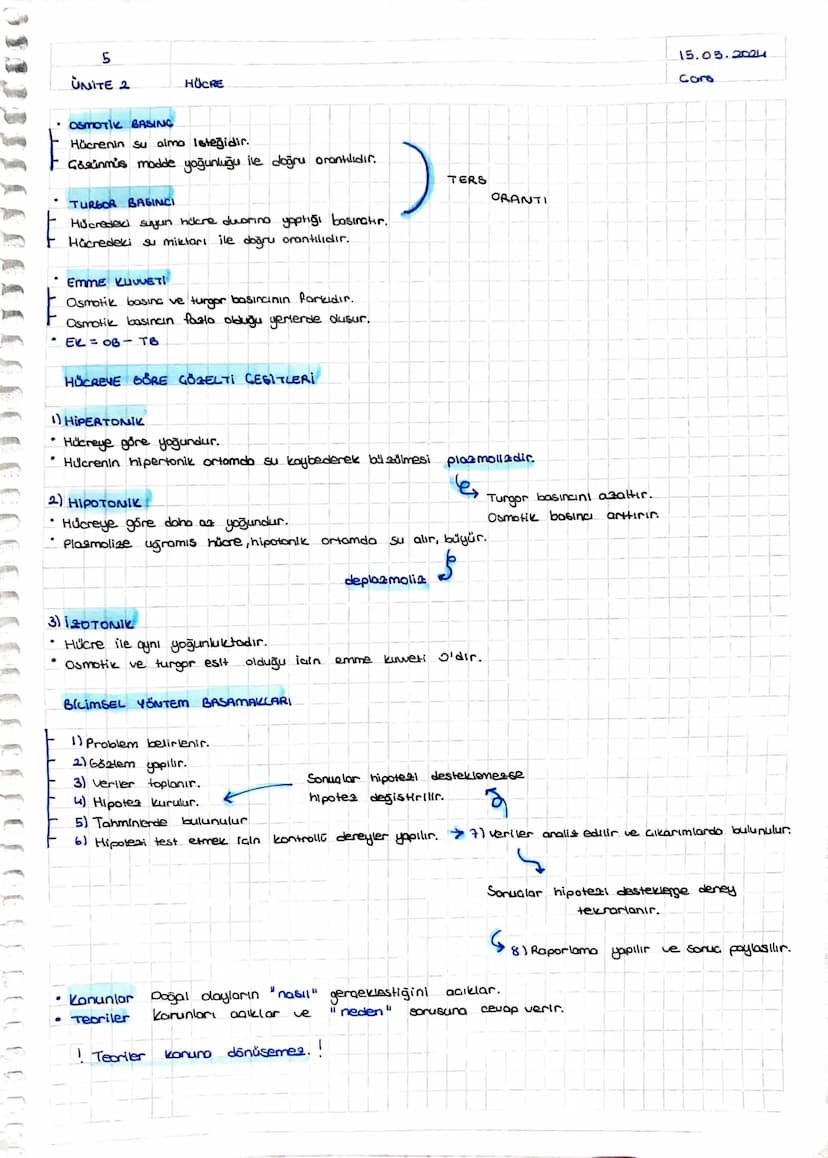 100002
+
ÜNİTE 2
HÜCRE
11.05.2024
Cmt
HÜCRE TEORISI
Hücre canlının temel, yopisal ve isleusel birimidir.
2 Bütün canlılar, bir ya da daha fa