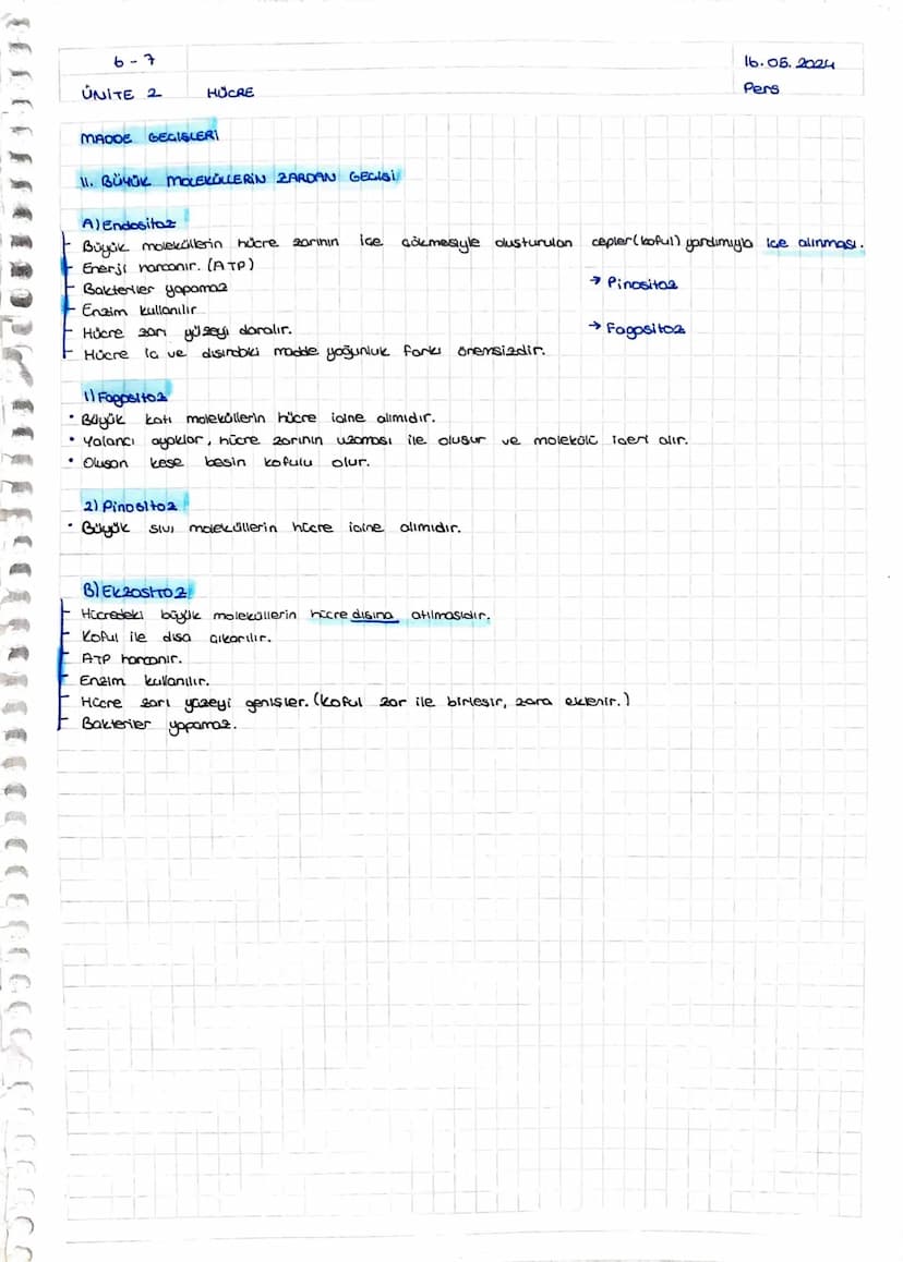 100002
+
ÜNİTE 2
HÜCRE
11.05.2024
Cmt
HÜCRE TEORISI
Hücre canlının temel, yopisal ve isleusel birimidir.
2 Bütün canlılar, bir ya da daha fa