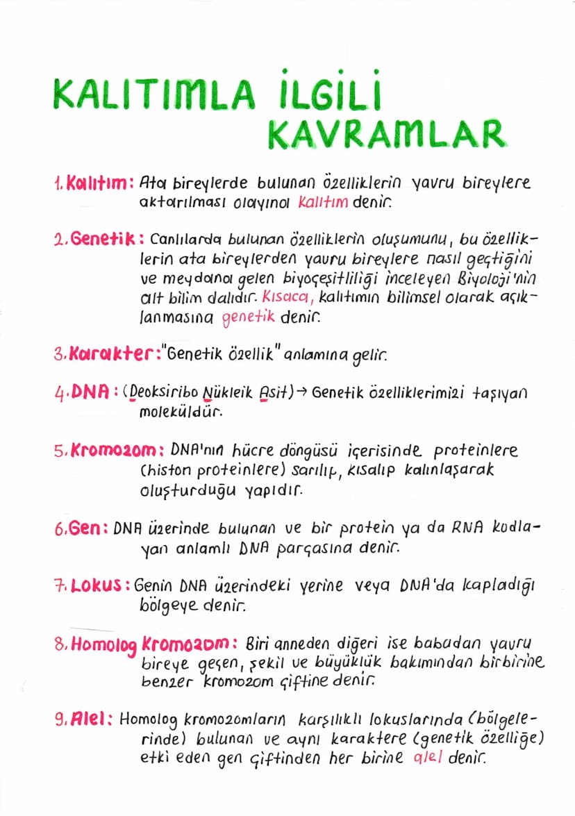 KALITIMLA İLGİLİ
KAVRAMLAR
1. Kalıtım: Ata bireylerde bulunan özelliklerin yavru bireylere
aktarılması olayına kalıtım denir.
2. Genetik: Ca