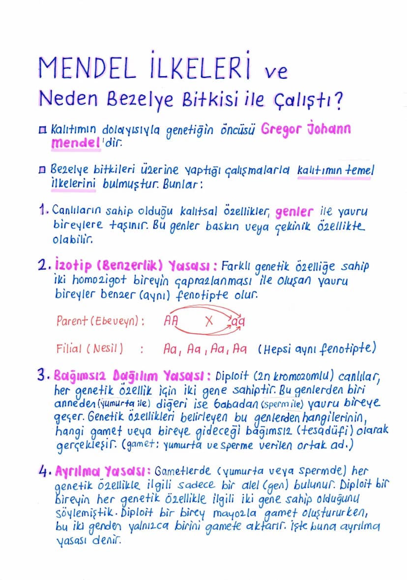 KALITIMLA İLGİLİ
KAVRAMLAR
1. Kalıtım: Ata bireylerde bulunan özelliklerin yavru bireylere
aktarılması olayına kalıtım denir.
2. Genetik: Ca
