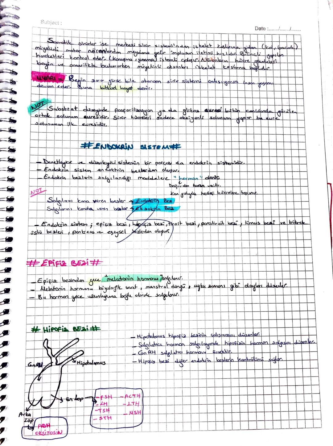 Subject:
Date
Somotik sinirler ise
merkezi sinir sistemi'nden iskelet kaslarına giden (kol, bacde)
miyelini motor nöronlardan meydana getic 