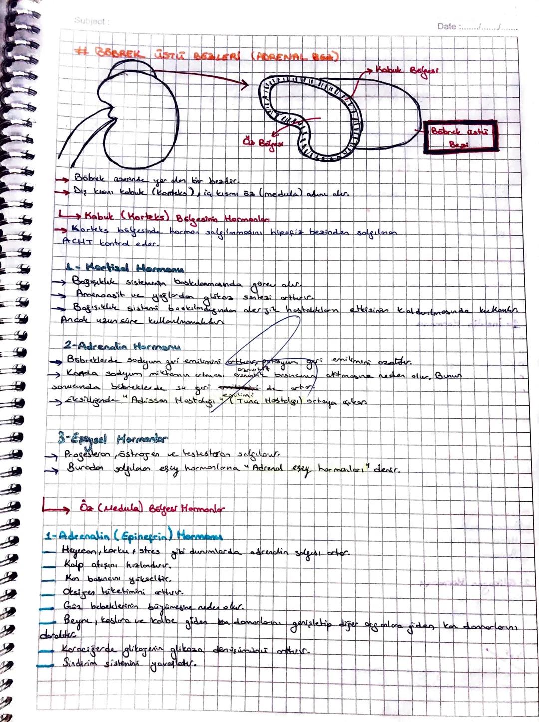 Subject:
Date
Somotik sinirler ise
merkezi sinir sistemi'nden iskelet kaslarına giden (kol, bacde)
miyelini motor nöronlardan meydana getic 