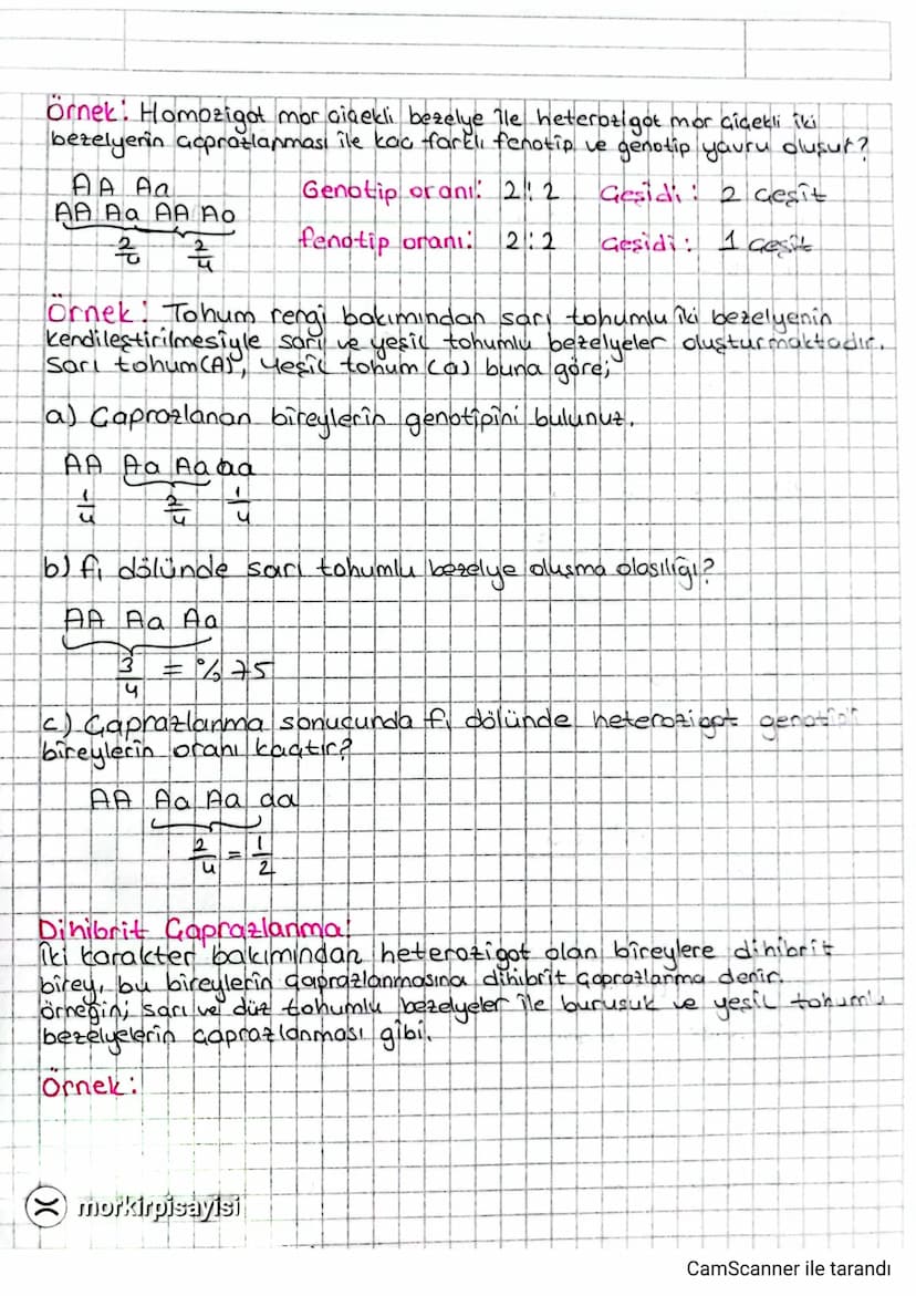 (X)
* Orn: AaBBdd genotipli birey ile AaBbDD genotipli bireyin
Goprozlanması sonucunda AGBBDd genotipli bireyin olma olasılığı?
AaxAo
AA Ad 