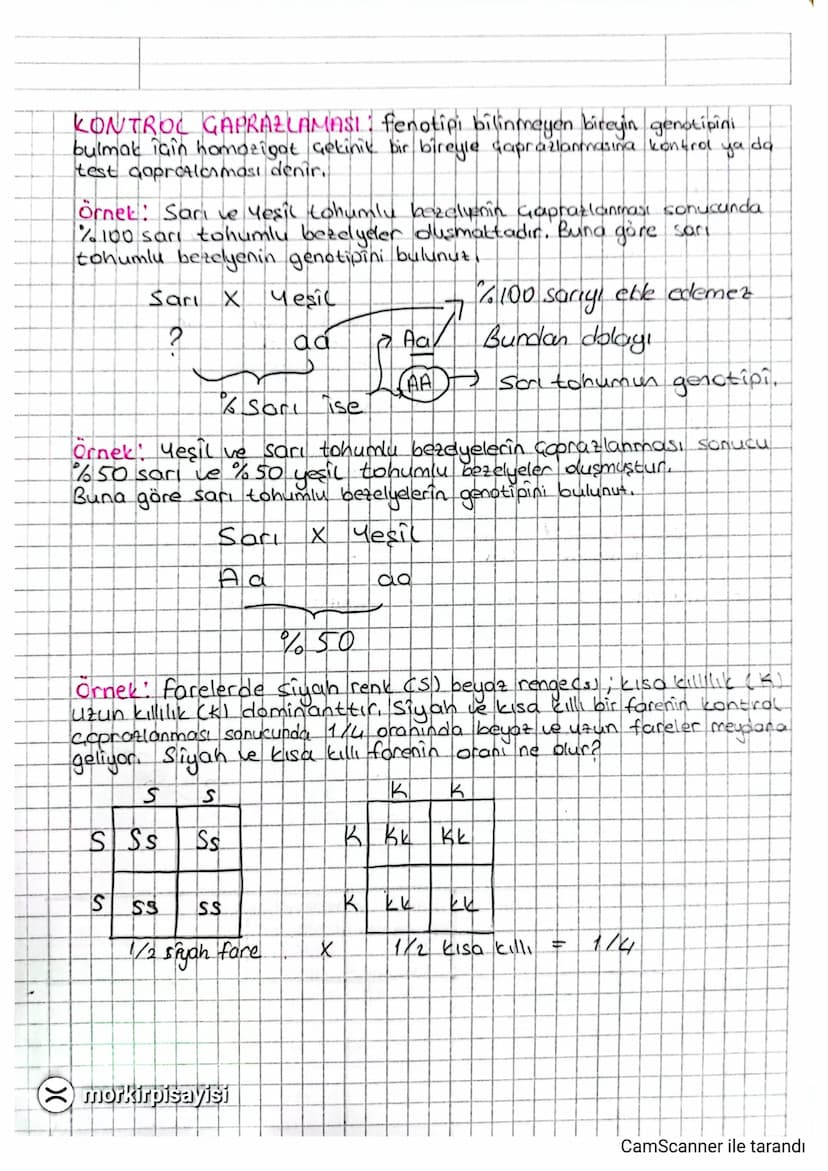 (X)
* Orn: AaBBdd genotipli birey ile AaBbDD genotipli bireyin
Goprozlanması sonucunda AGBBDd genotipli bireyin olma olasılığı?
AaxAo
AA Ad 