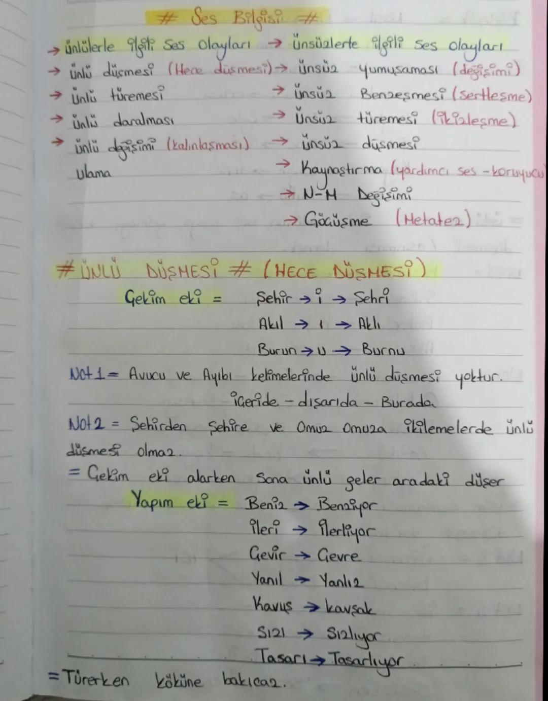 Ses Bilgisi: Ünlü ve Ünsüz Ses Olayları