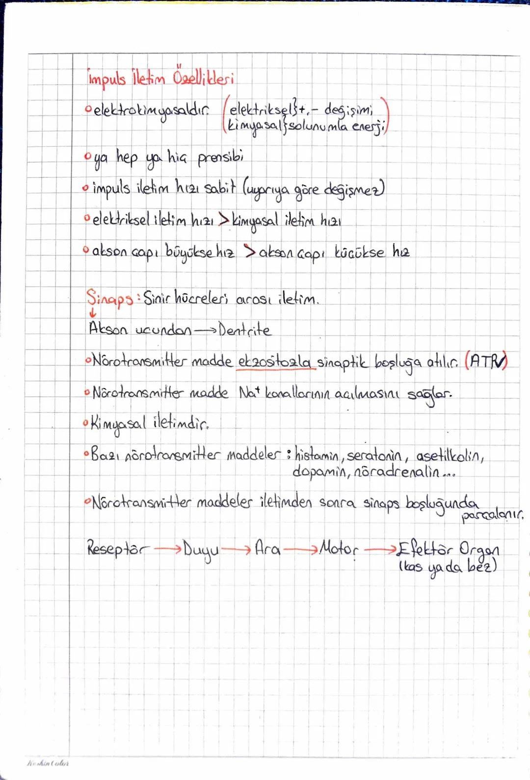 ~SİNİR SİSTEMİ
Dentritler
ranvier miyelin alson
boğum
Calif
Schwan hücreleri
(miyelin kılıf yaparlar)
akson
المان
iletim yönü
gövde
доли
Nōr