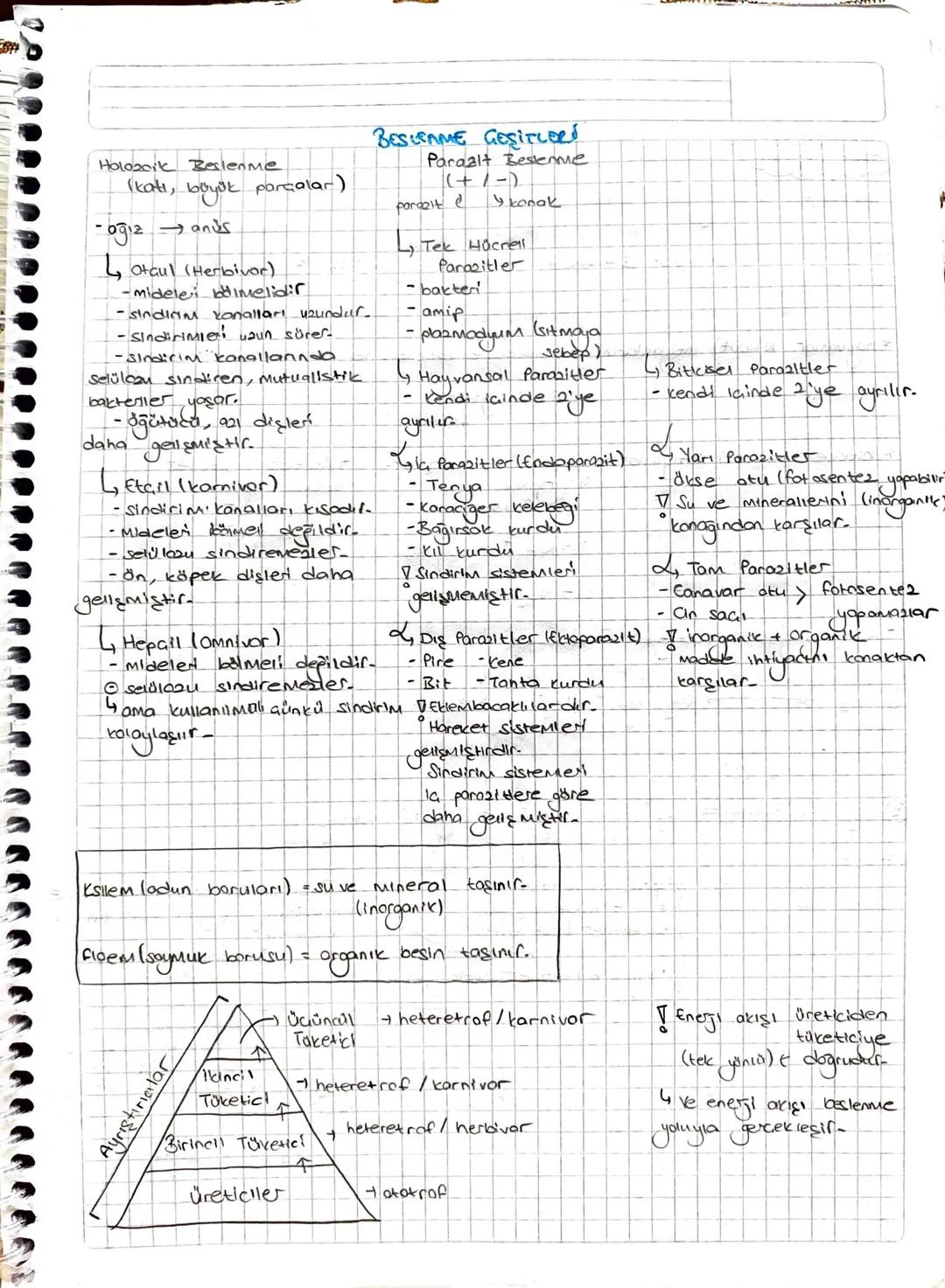 Q
3. UNITE
: EKOSISTEM EKOLOjish VE GÜNCEL GEVRE SORUNLARI:
ekoloji: canlının hem birbirleriyle hem de
ilişkisini inceyen bilim doll.
yaşadı