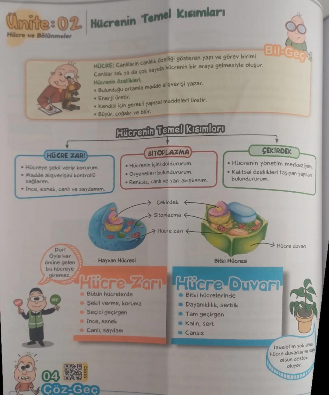 7. Sınıf Fen Bilimleri - Hücrenin Bölümleri ve Test Sorusu