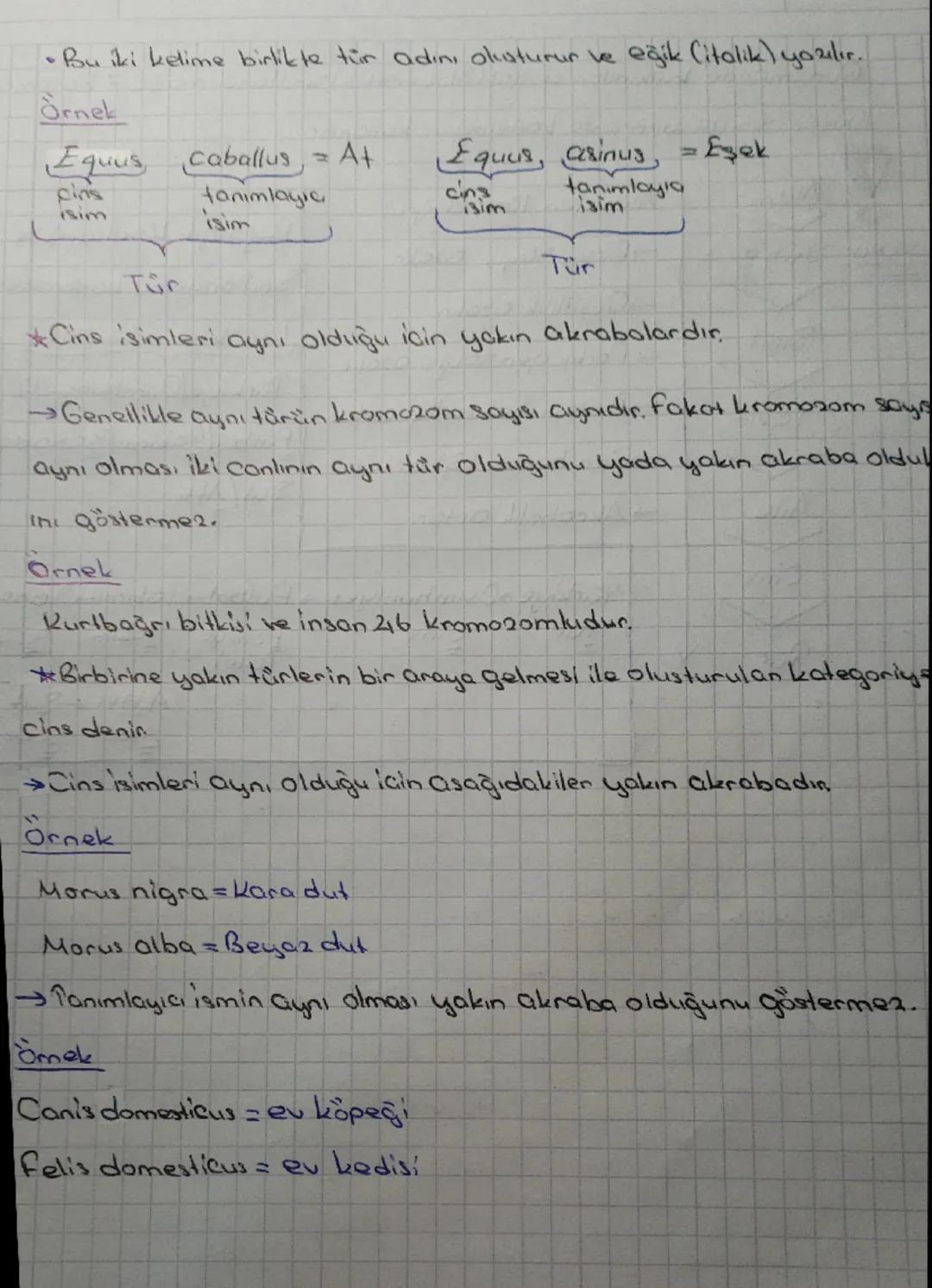 Biyozoji

SINIFLANDIRMA

Sınıflandırma Canlı Çeşitliliği çok fazla olduğu için ihtiyaç duyulmush
Bu sayede bilgi düzenlenir, ve erişim kolay
