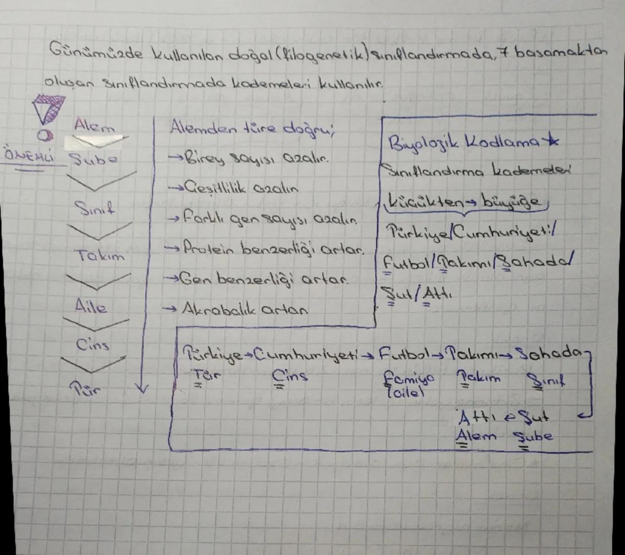 Biyozoji

SINIFLANDIRMA

Sınıflandırma Canlı Çeşitliliği çok fazla olduğu için ihtiyaç duyulmush
Bu sayede bilgi düzenlenir, ve erişim kolay