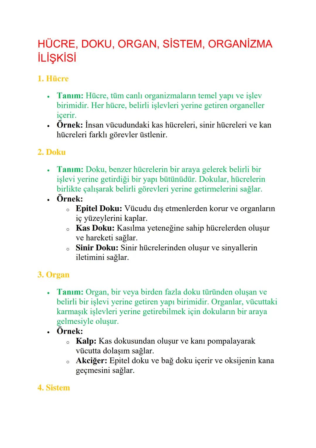 Hücreden Organizmaya: Yapıların Uyumu