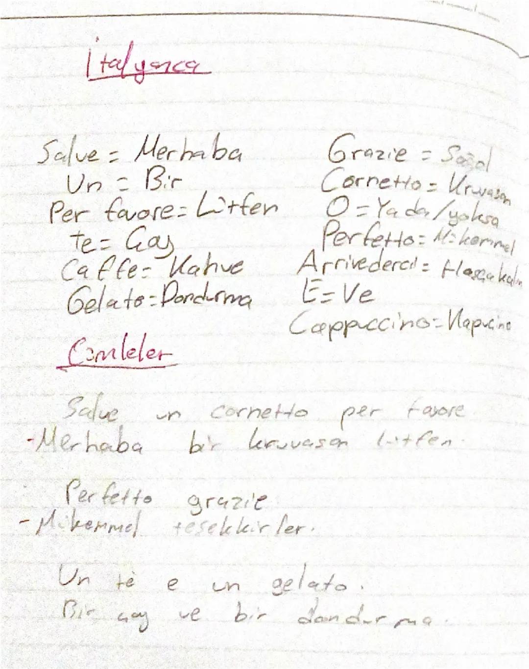 Fransızca ve İtalyanca ana ezber kelimeler