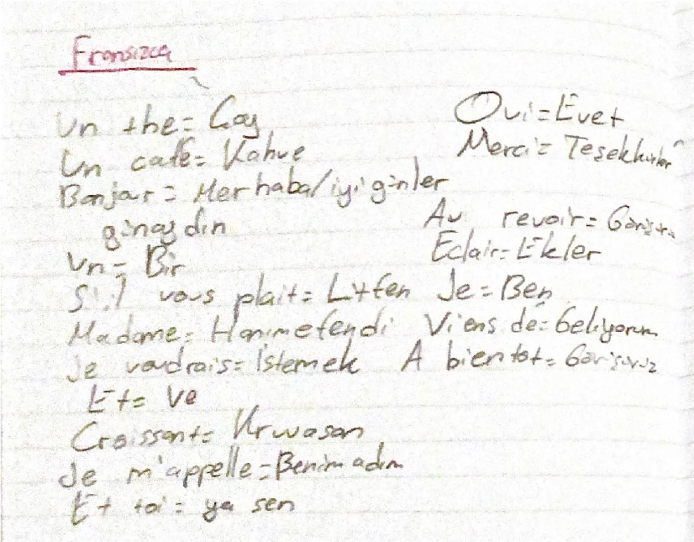 --- OCR Start ---
Italyanca
Salue = Merhaba Graziie = Saol
Un = Bir Cornetto = Kruvazon
Per favore = Lütfen 0 = Ya da/yoksa
Te = Gay Perfett