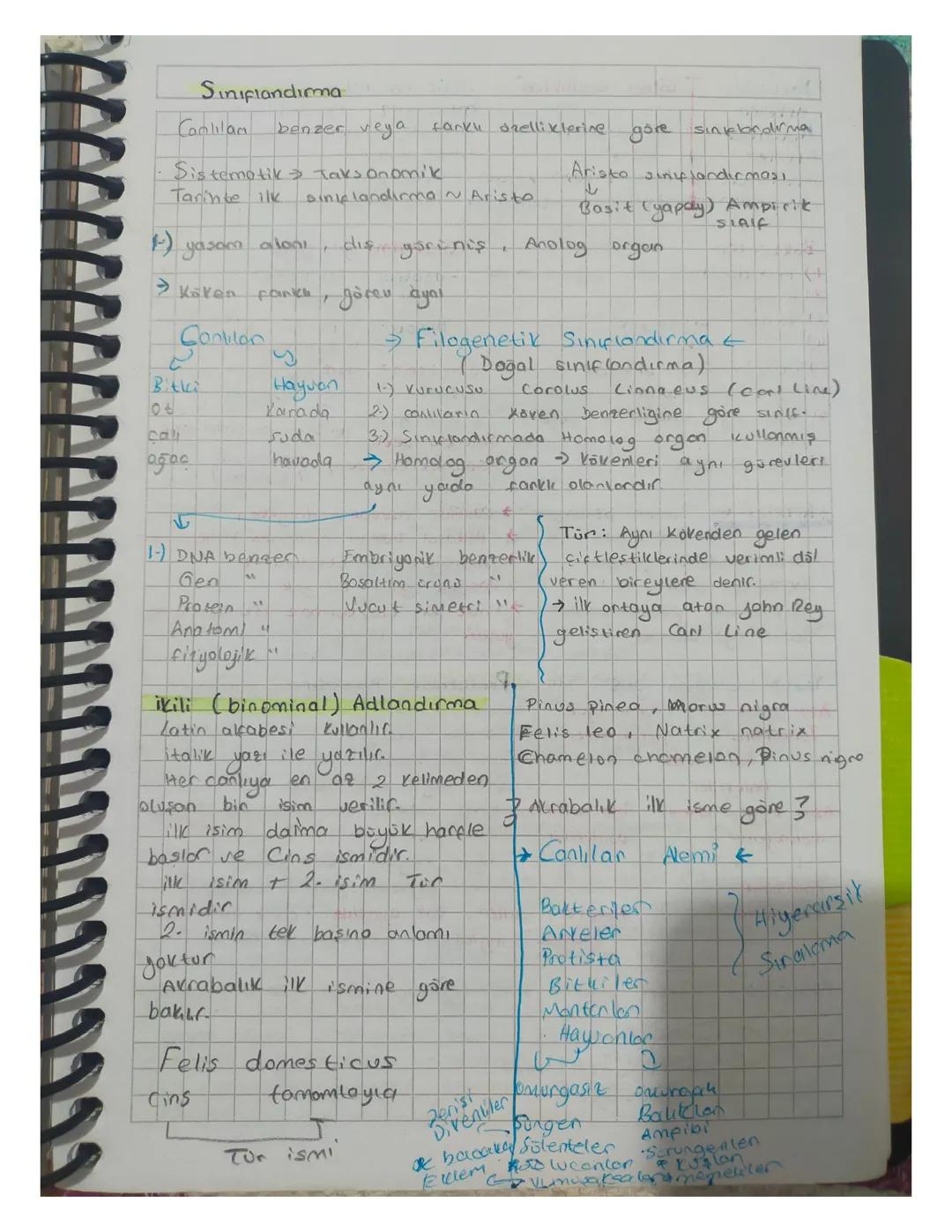 Canlılarda sınıflandırma 