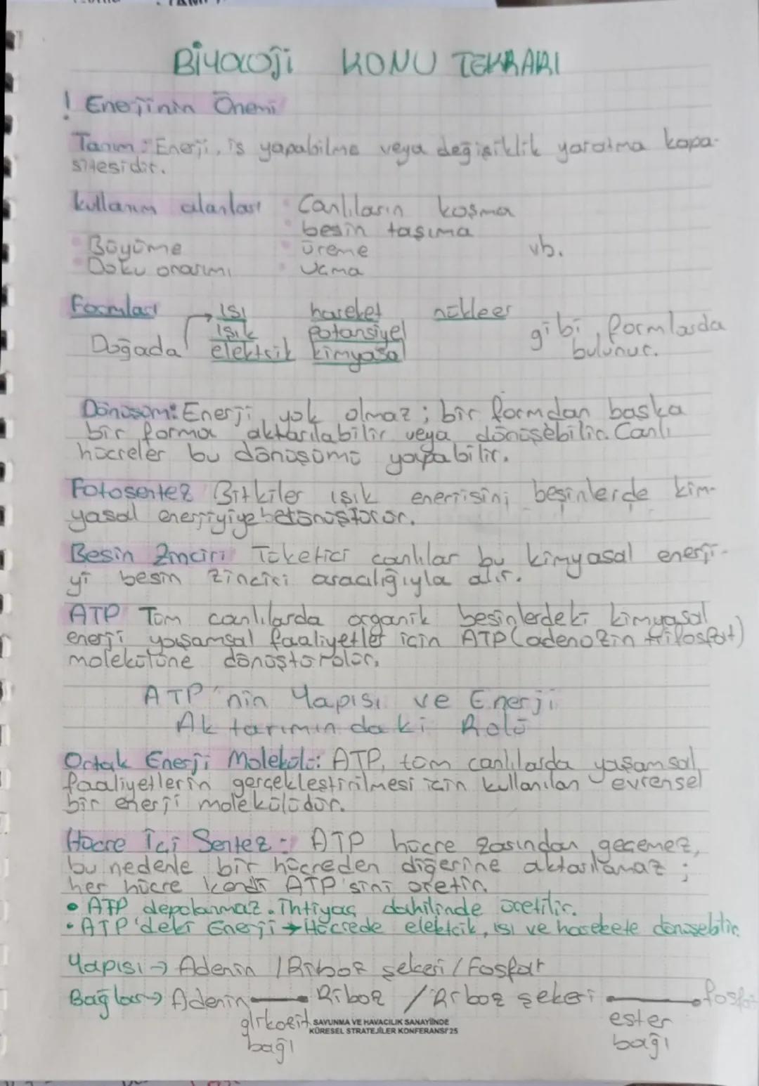 Biyoloji Enerjinin önemi