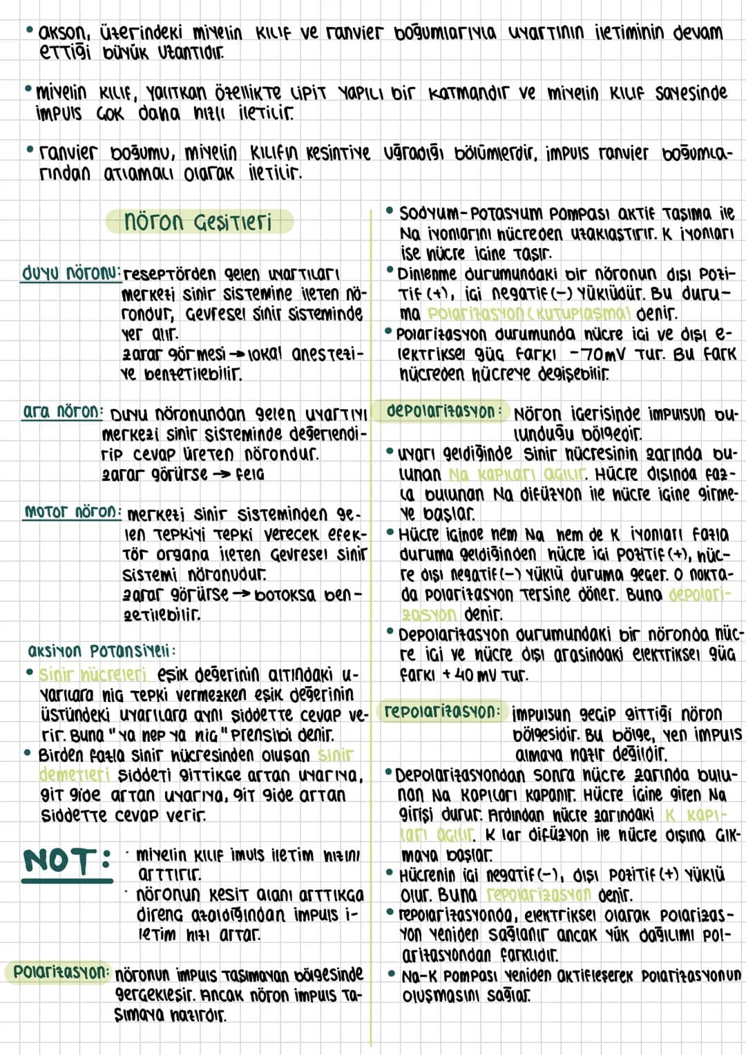 •akson, üzerindeki miyelin KILIF ve ranvier boğumlarıyla uyartının iletiminin devam
eTTiği büyük utantidir.
• mivelin KILIF, YOUTkan Özellik