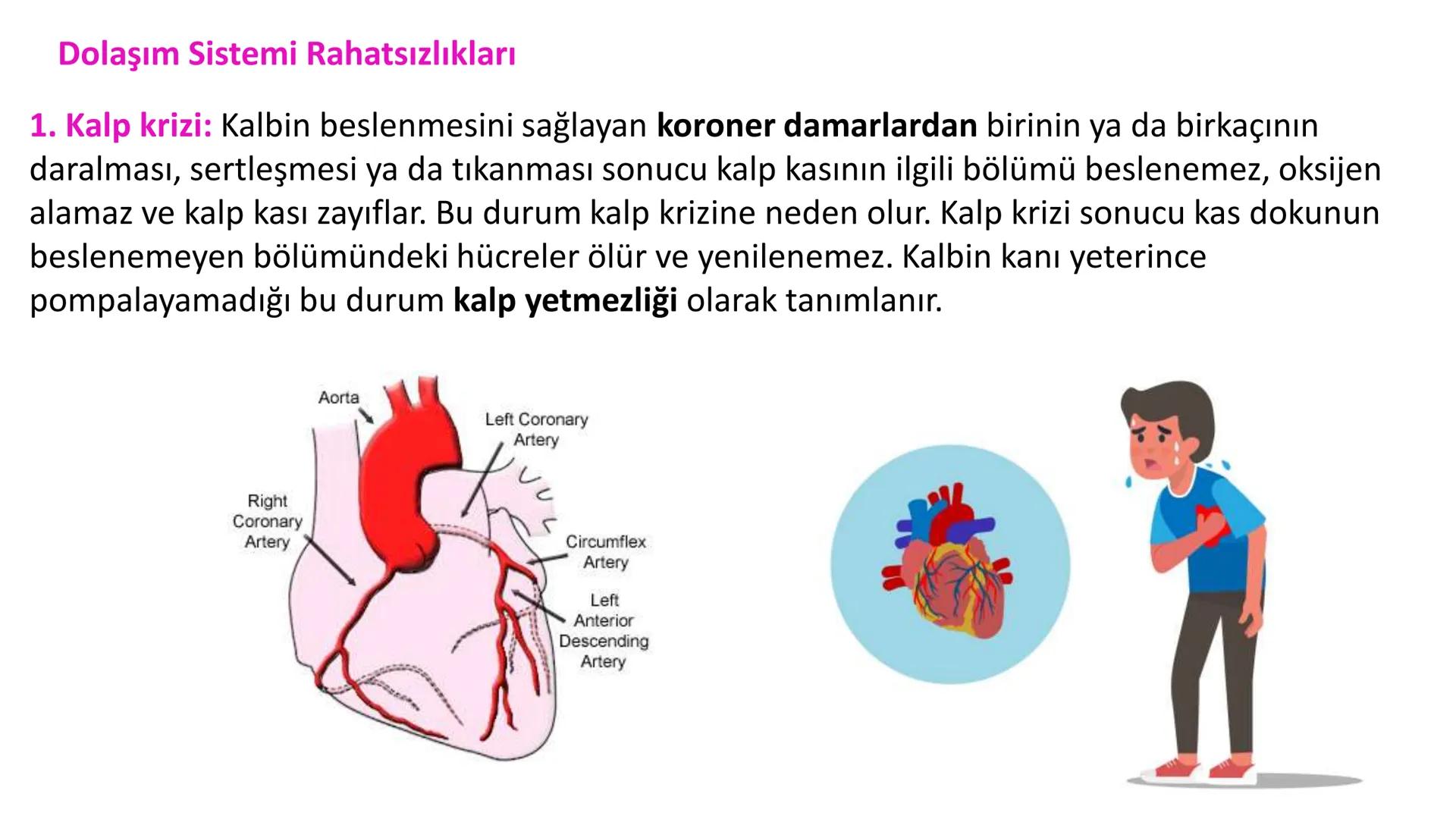 Lenf Dolaşımı
1. Kılcal damarların atardamar ucundan boşluğa geçen sıvının tamamı, toplardamar ucundan
kılcala geri emilemez ve bazı küçük k