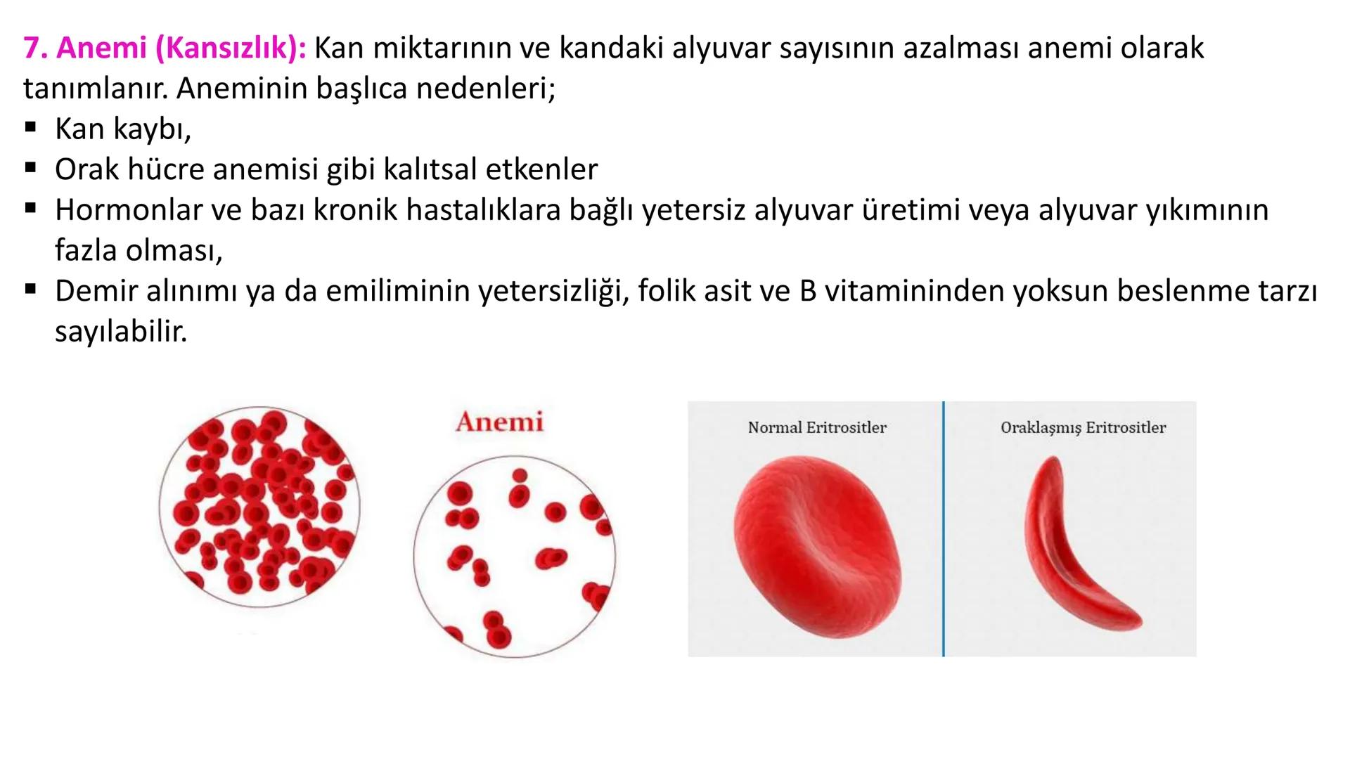 Lenf Dolaşımı
1. Kılcal damarların atardamar ucundan boşluğa geçen sıvının tamamı, toplardamar ucundan
kılcala geri emilemez ve bazı küçük k