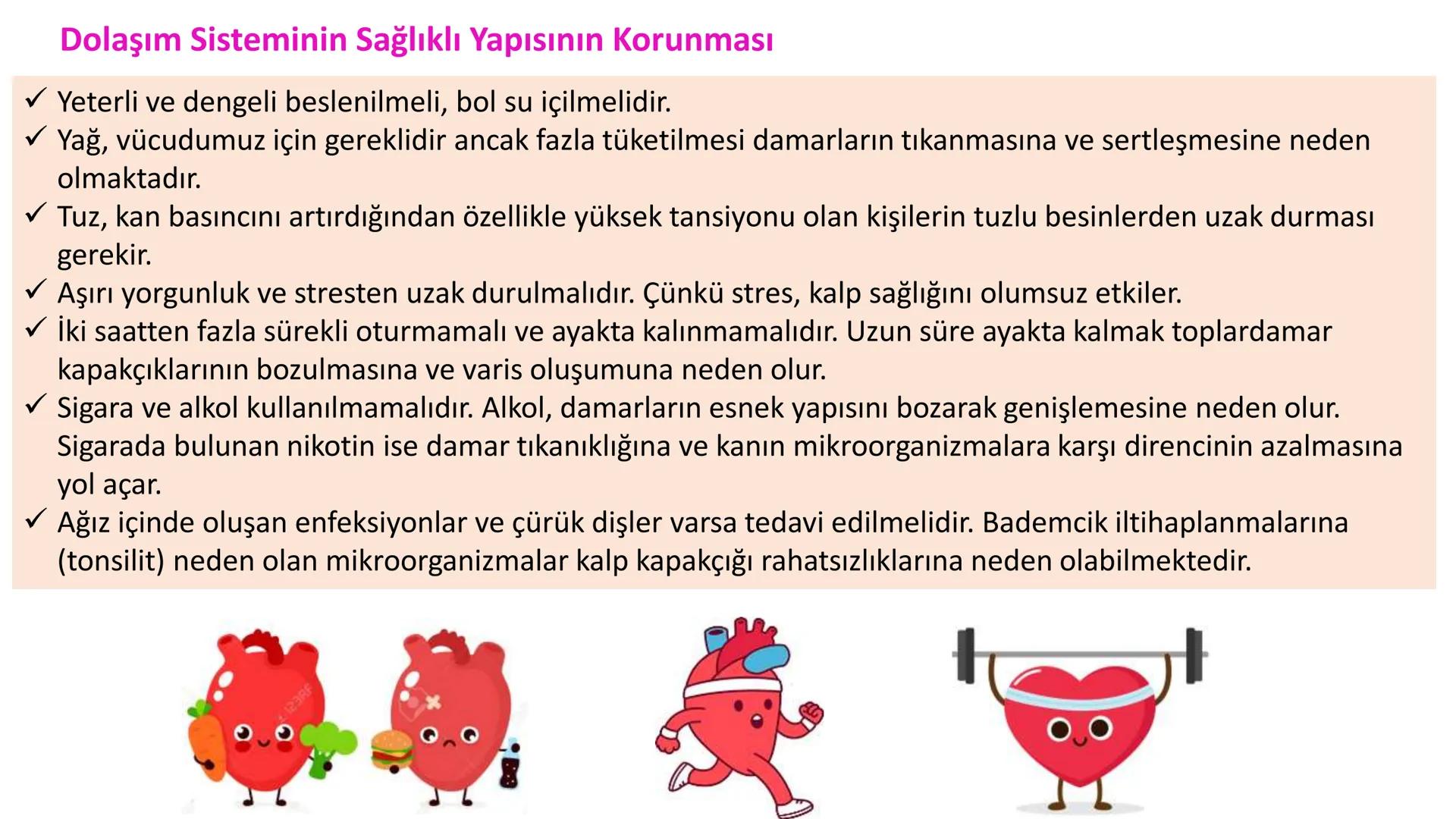 Lenf Dolaşımı
1. Kılcal damarların atardamar ucundan boşluğa geçen sıvının tamamı, toplardamar ucundan
kılcala geri emilemez ve bazı küçük k