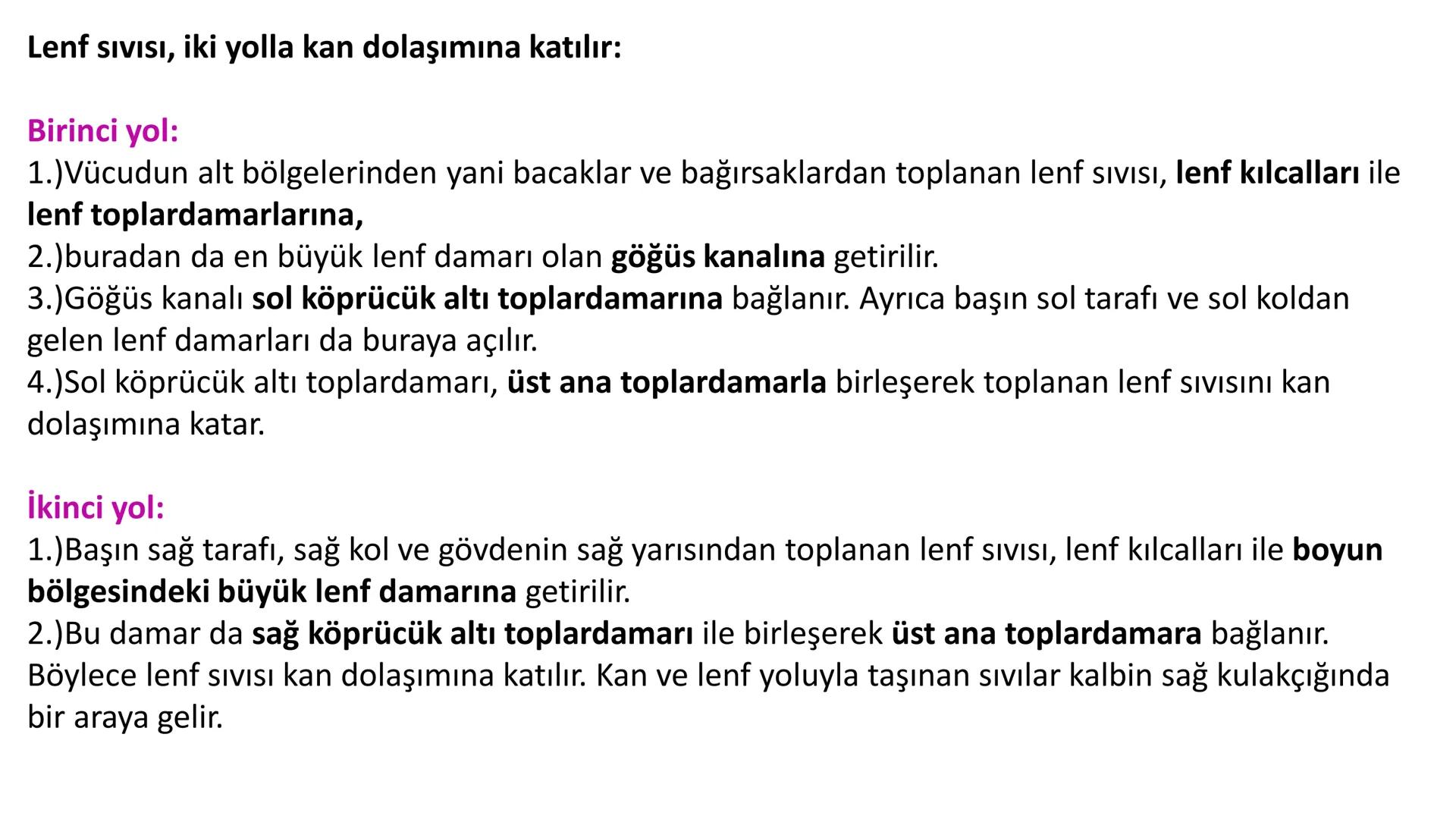 Lenf Dolaşımı
1. Kılcal damarların atardamar ucundan boşluğa geçen sıvının tamamı, toplardamar ucundan
kılcala geri emilemez ve bazı küçük k