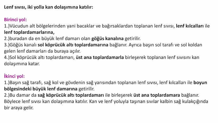 Lenf Dolaşımı
1. Kılcal damarların atardamar ucundan boşluğa geçen sıvının tamamı, toplardamar ucundan
kılcala geri emilemez ve bazı küçük k