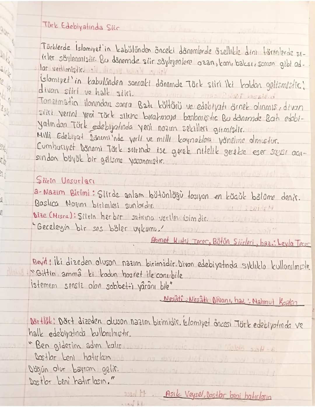 Şiirde Nazım Türü ve Örnekleri