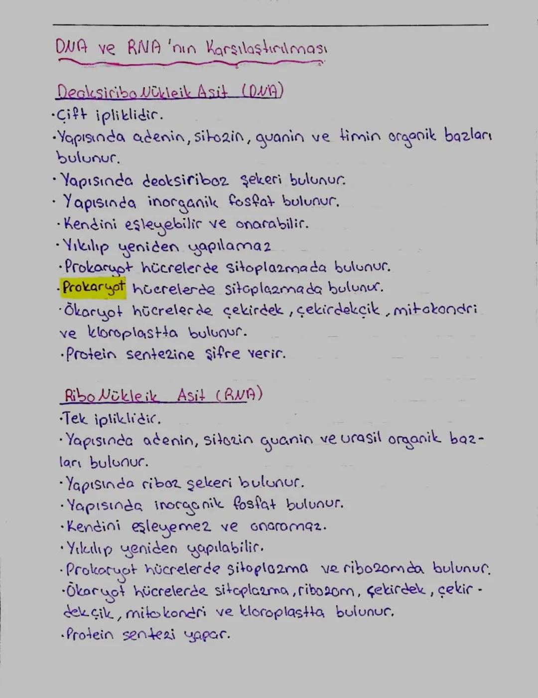 DNA ve RNA
DNA (Decksiribonukleik Asit)
Azotlu Organik Bazları => Adenin, Timin, Guanin, Sitazin
50'lu Şekeri => Deoksribo2
Fosfat Grubu => 