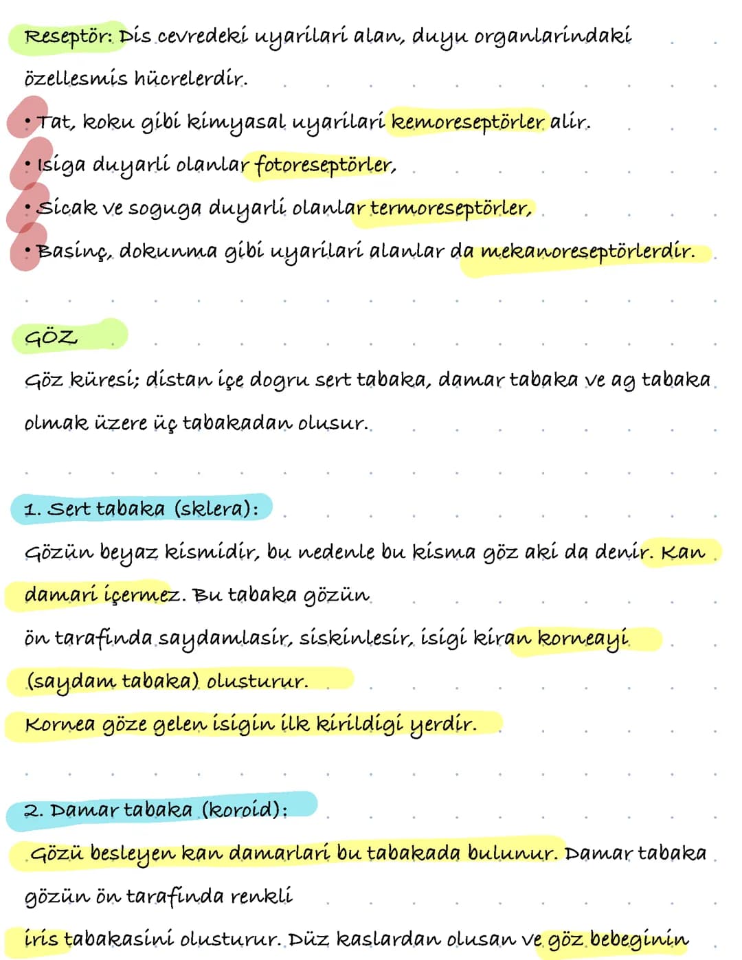Sistemler, duyu organları.
