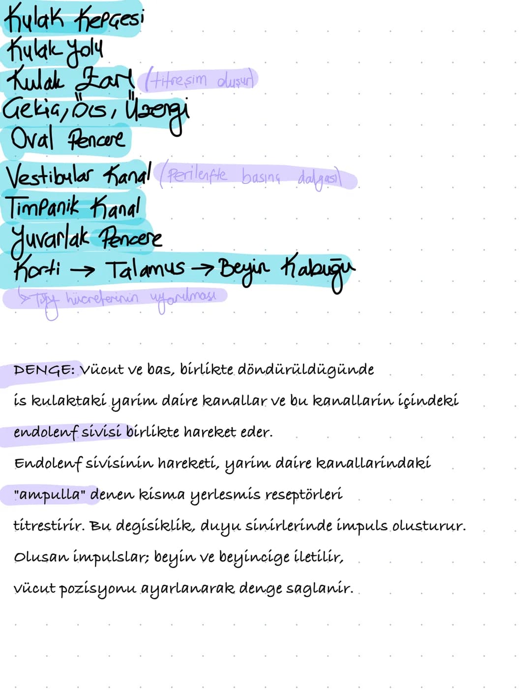 Reseptör: Dís cevredeki uyarilari alan, duyu organlarindaki
özellesmis hücrelerdir.
•Tat, koku gibi kimyasal uyarilari kemoreseptörler alir.