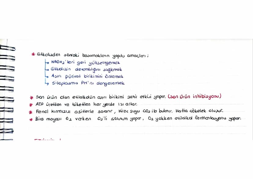 HÜCRESEL SOLUNUM
* Tüm conlilor solunum yapmak zorundadır. Bu reaksiyonlarda besin parçalanır va açığa çıkan
enerji ile evrensel enerji mole