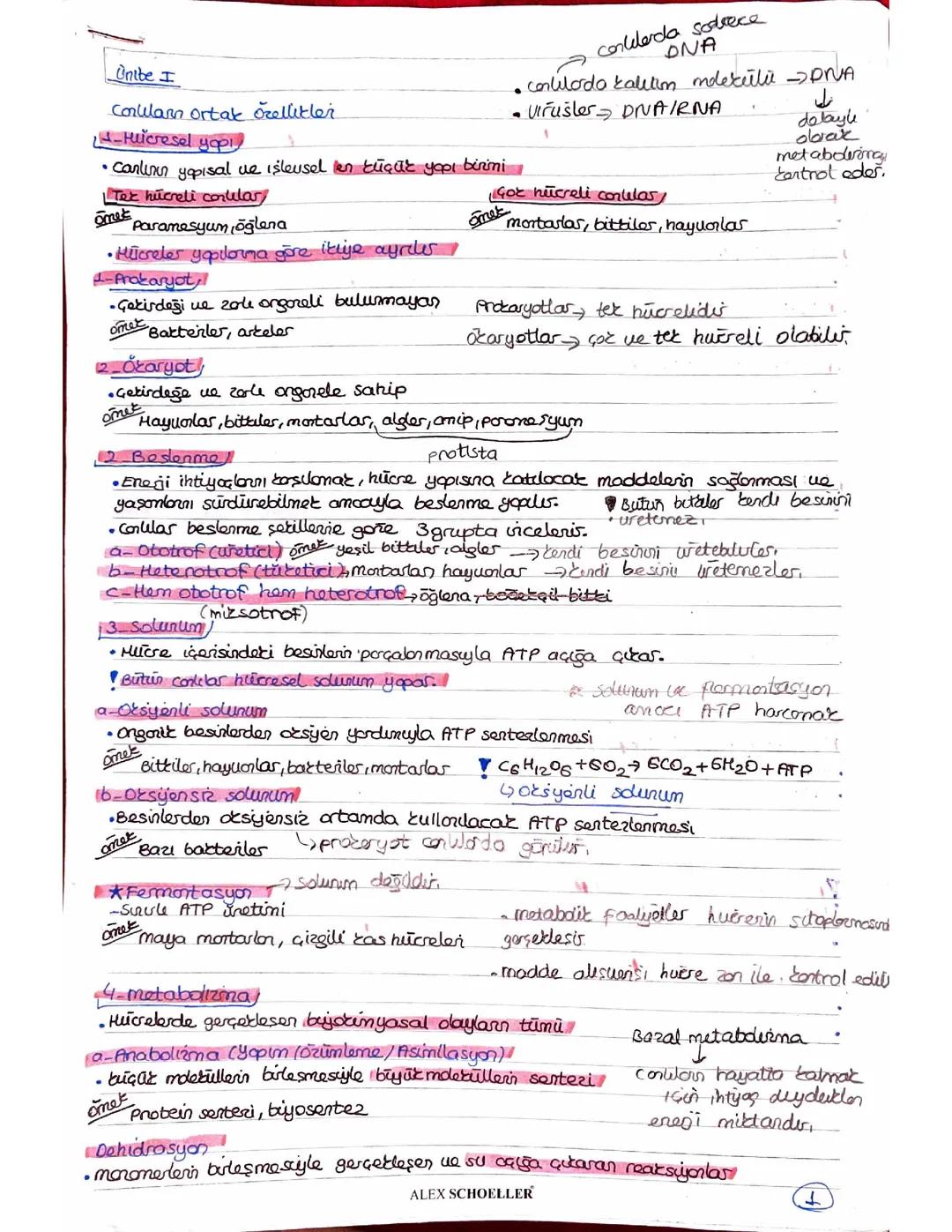 Biyoloji 1ünite ders notları 