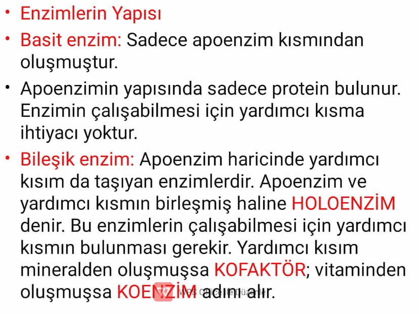 ENZİMLER
✔ Canlı vücudunda kimyasal
tepkimelerin gerçekleşmesine olanak
sağlayan organik maddelerdir.
(Biyolojik katalizörlerdir.)
W WPS Off