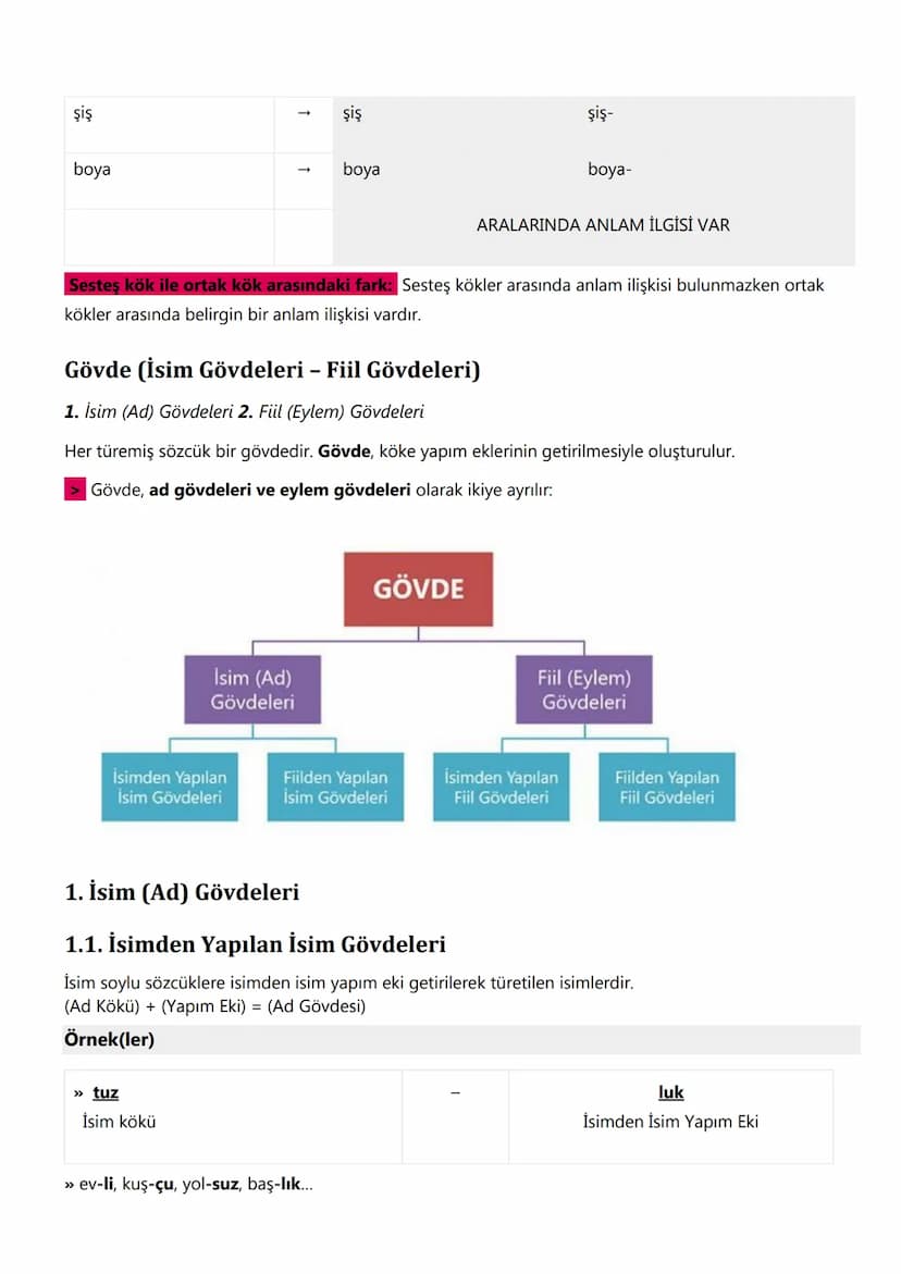1. Anlam Bilgisi:
6. SINIF TÜRKÇE
KONU ANLATIMLARI
Sözcükte Anlam :
1. Gerçek (Temel) Anlam
Gerçek anlam, bir kelimenin aklımıza ilk gelen a
