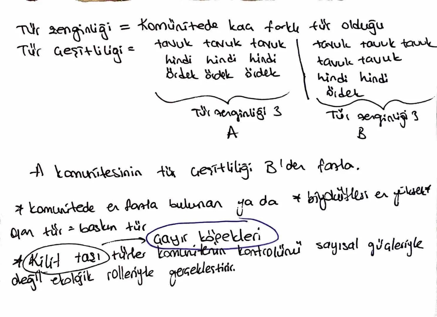 Komunite suindela bir türün yaşayabildiği
Cheyebildiği alan: habitat
Ekolojik niş türe özgüdür. Ŀ
ve
Metamorfoz geçiren tüklerin lorua we or