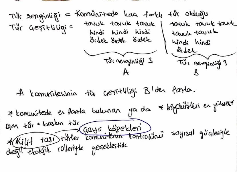 Komunite suindela bir türün yaşayabildiği
Cheyebildiği alan: habitat
Ekolojik niş türe özgüdür. Ŀ
ve
Metamorfoz geçiren tüklerin lorua we or