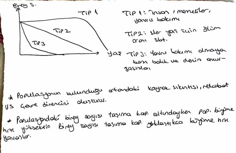 Komunite suindela bir türün yaşayabildiği
Cheyebildiği alan: habitat
Ekolojik niş türe özgüdür. Ŀ
ve
Metamorfoz geçiren tüklerin lorua we or