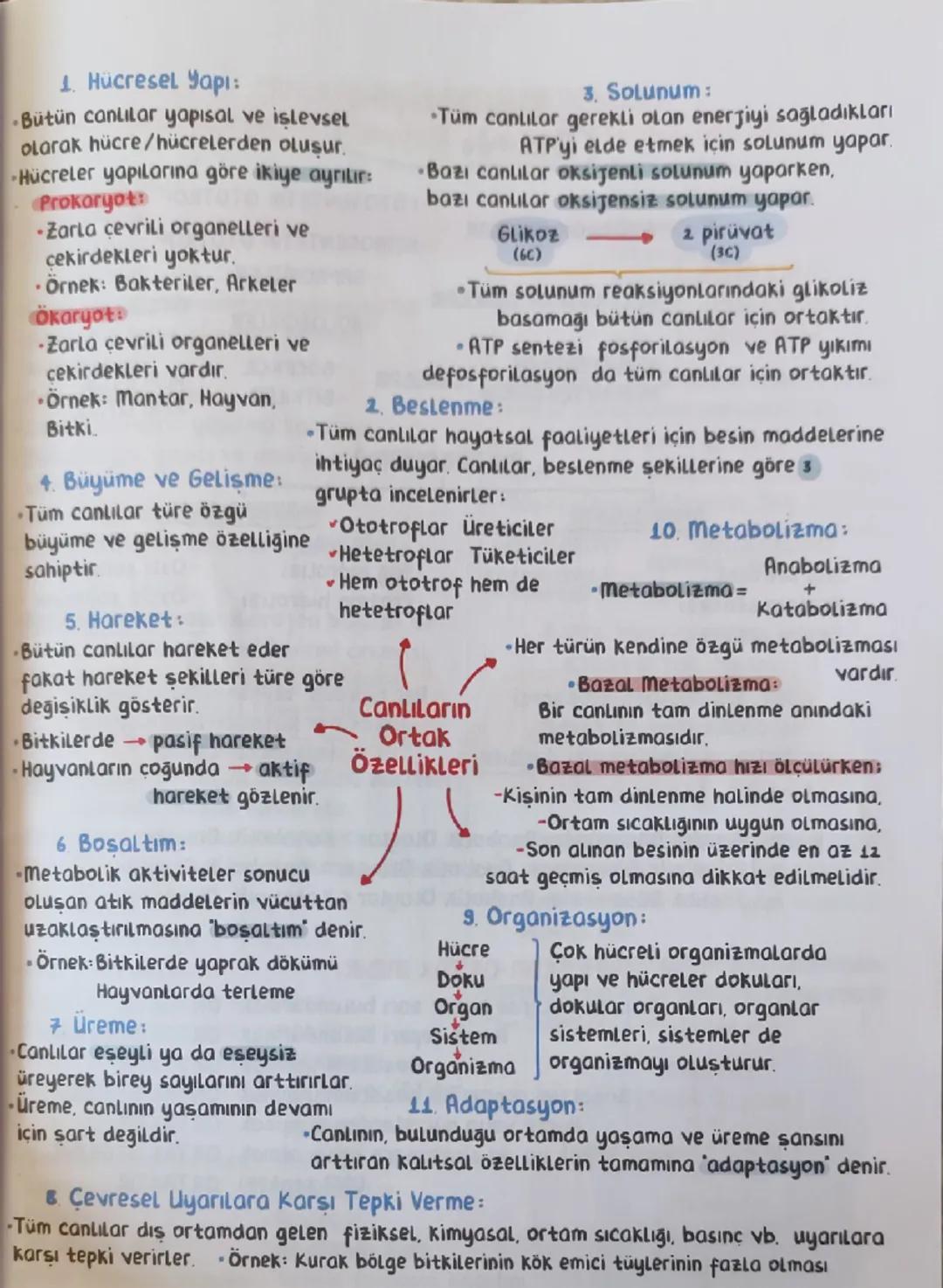 # 1. Hücresel Yapı:
-Bütün canlılar yapısal ve işlevsel
olarak hücre/hücrelerden oluşur.
-Hücreler yapılarına göre ikiye ayrılır:
Prokaryot: