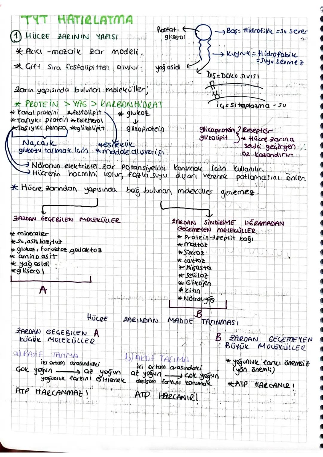 TYT HATIRLATMA
④ HÜCRE ZARININ YAPISI
*Akıcı -mozaik zar modeli.
fosfat-
gliserol
→ Baş= Hidrofilik = Su sever
→→→ Kuyruk - Hidrofobile
=Suy