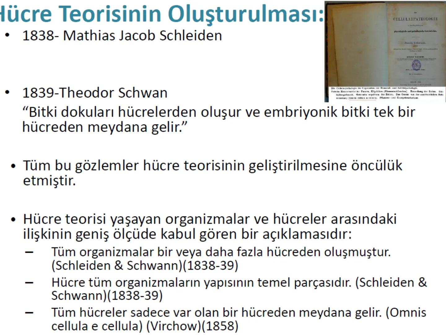 Hücre Teorisi
1665- Robert Hooke mikroskopta şişe mantarının yapısını incelemiş
ve mantarın içi boş odacıklardan oluştuğunu açıklamış ve bu
