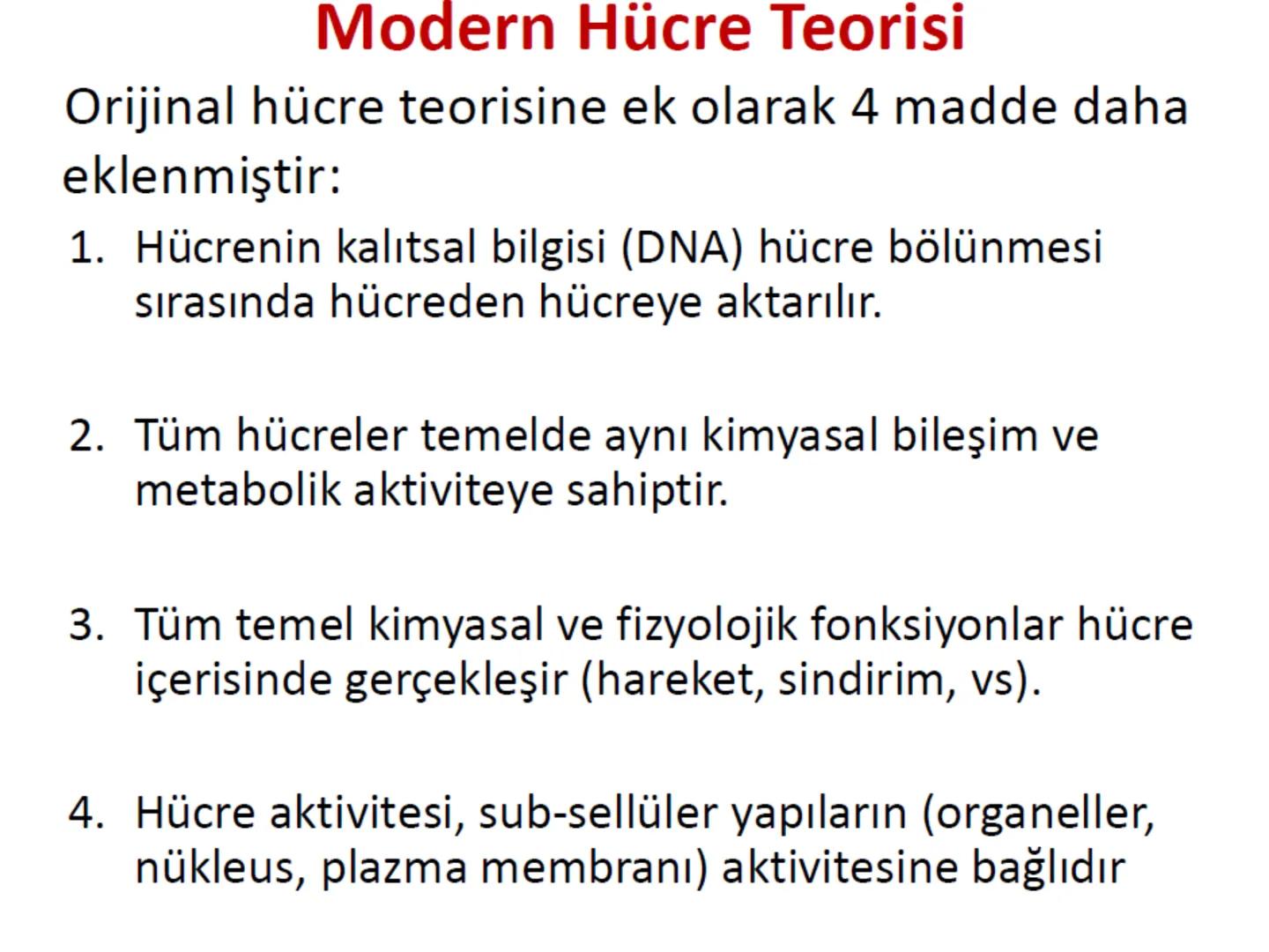 Hücre Teorisi
1665- Robert Hooke mikroskopta şişe mantarının yapısını incelemiş
ve mantarın içi boş odacıklardan oluştuğunu açıklamış ve bu
