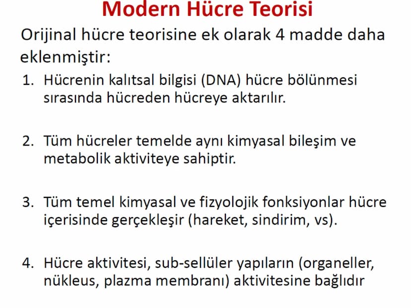 Hücre Teorisi
1665- Robert Hooke mikroskopta şişe mantarının yapısını incelemiş
ve mantarın içi boş odacıklardan oluştuğunu açıklamış ve bu
