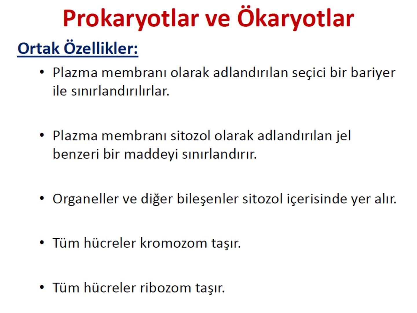 Hücre Teorisi
1665- Robert Hooke mikroskopta şişe mantarının yapısını incelemiş
ve mantarın içi boş odacıklardan oluştuğunu açıklamış ve bu
