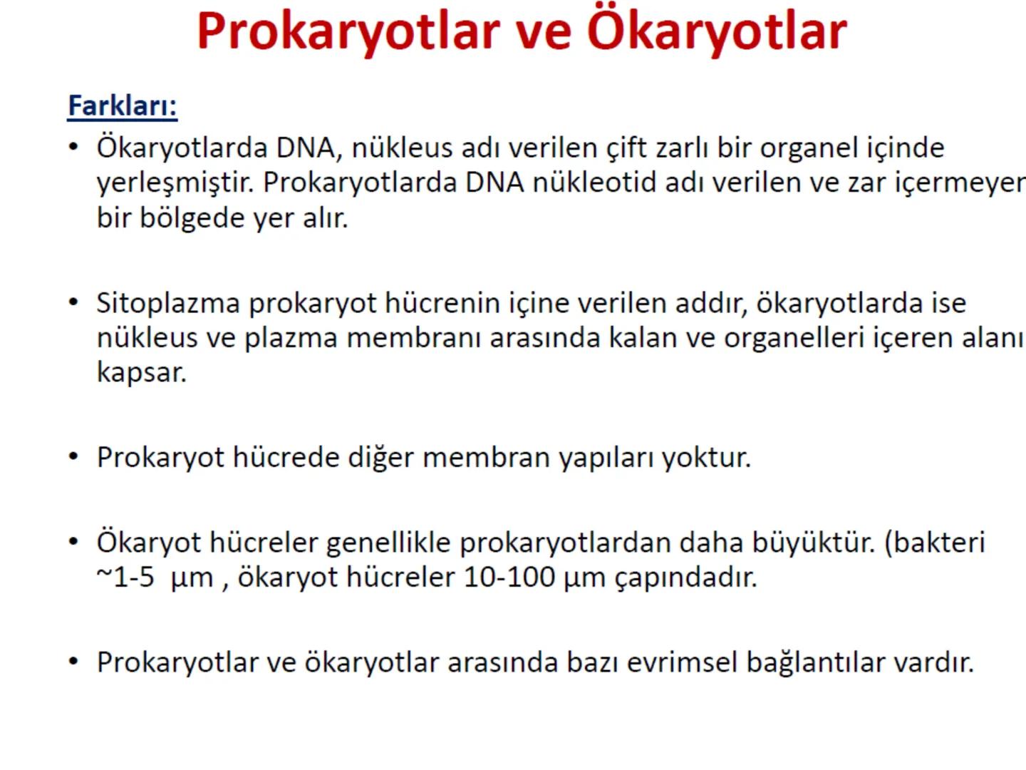 Hücre Teorisi
1665- Robert Hooke mikroskopta şişe mantarının yapısını incelemiş
ve mantarın içi boş odacıklardan oluştuğunu açıklamış ve bu
