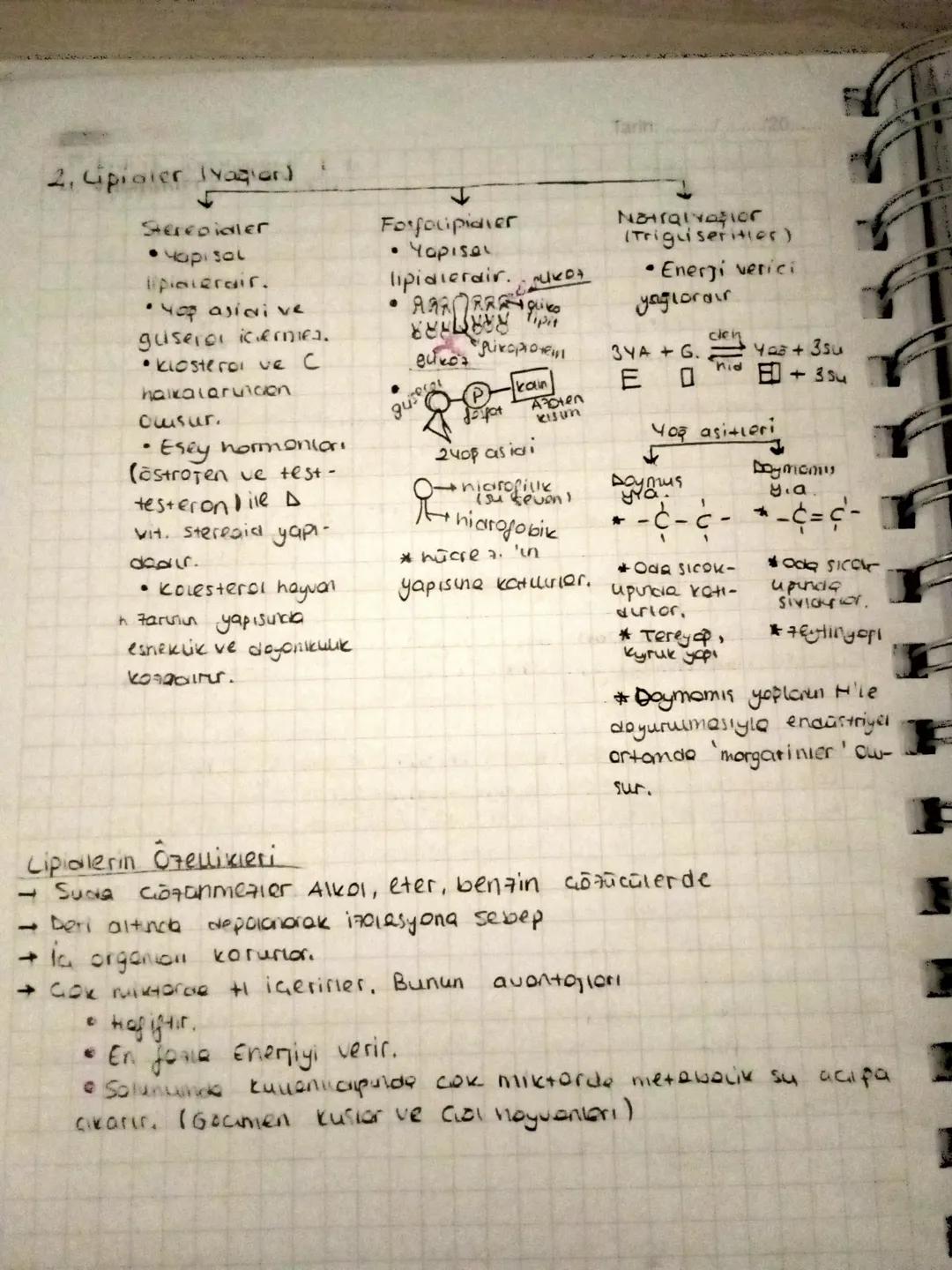 Tarih:
2. Opiater Tyagar)
Stereoidler
• Yapisal
placerair.
•Yop asidi ve
gusero iceries.
• Klosteroi ve C
halkalarincon
ousur.
•Esey hormonl