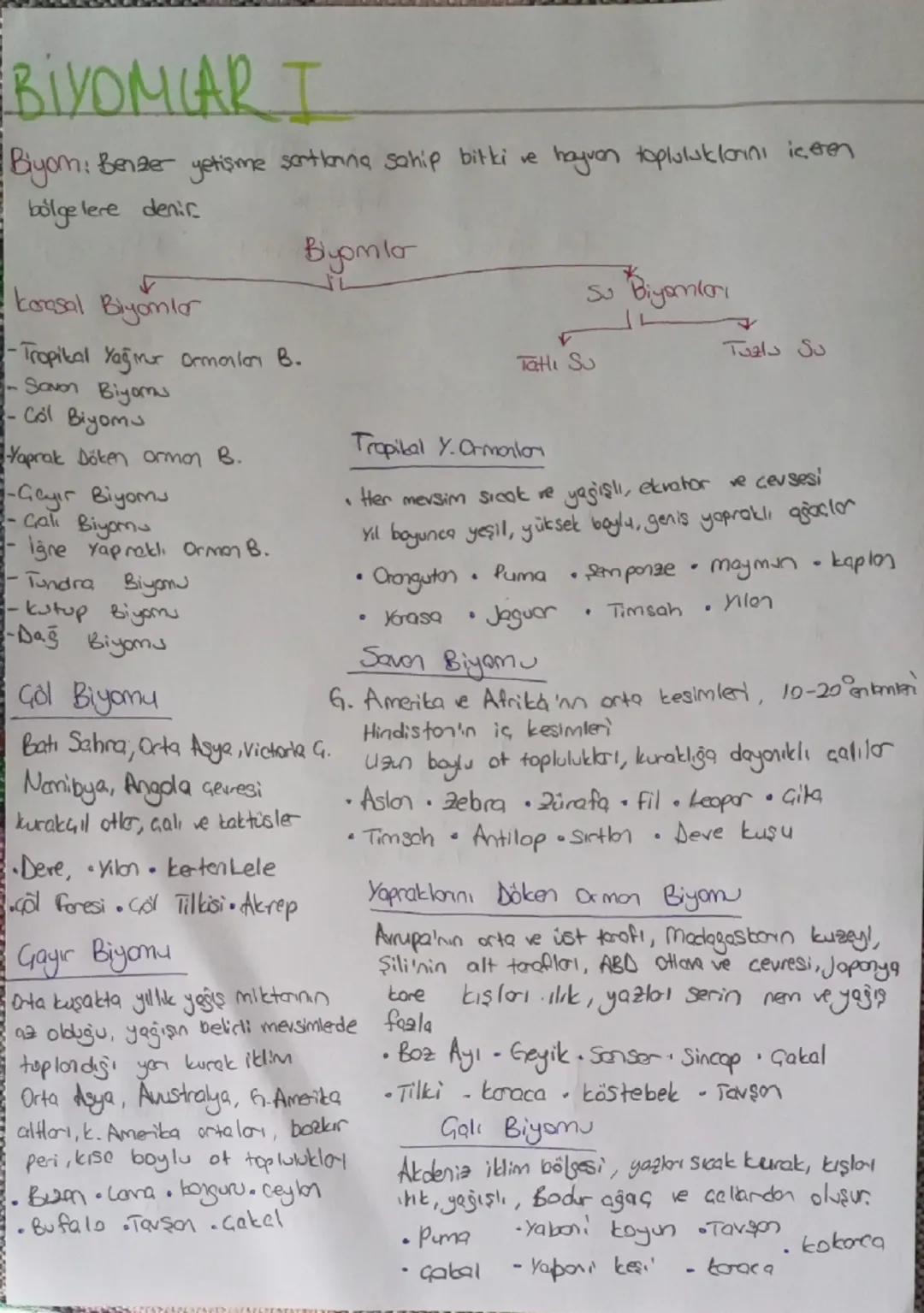 11. Sınıf Coğrafya Sınava Hazırlık