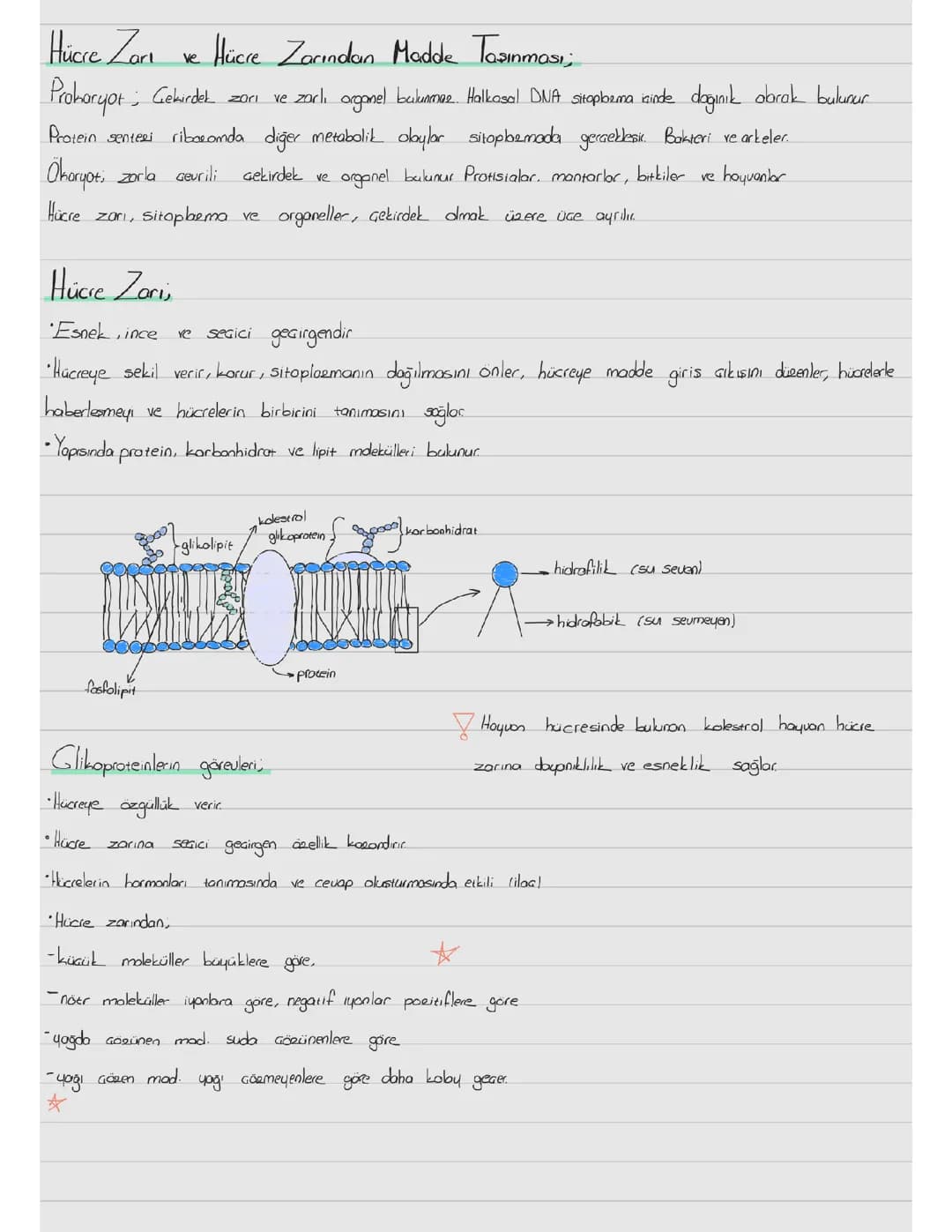 hücre zarı ve madde geçişleri